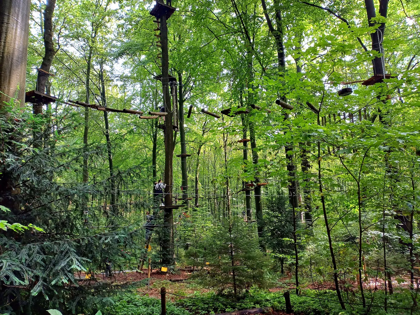 A treetop ropes course