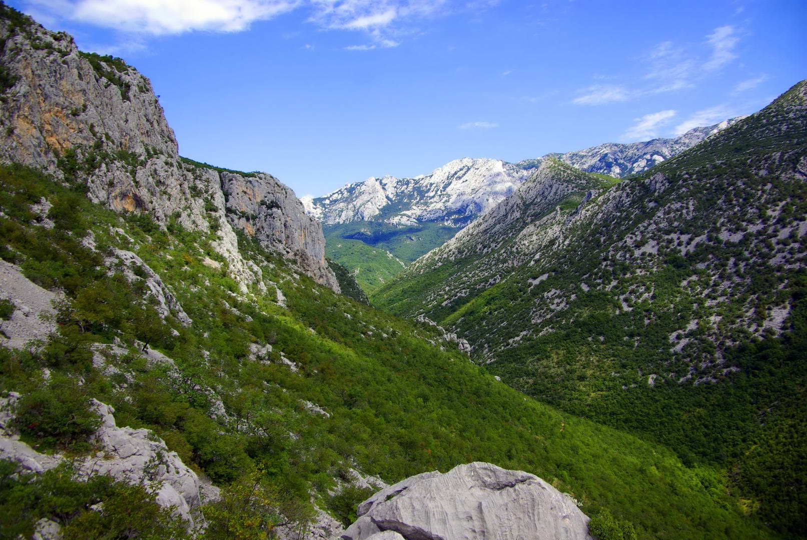 Cañón de piedra caliza y paisaje montañoso en el Parque Nacional Paklenica