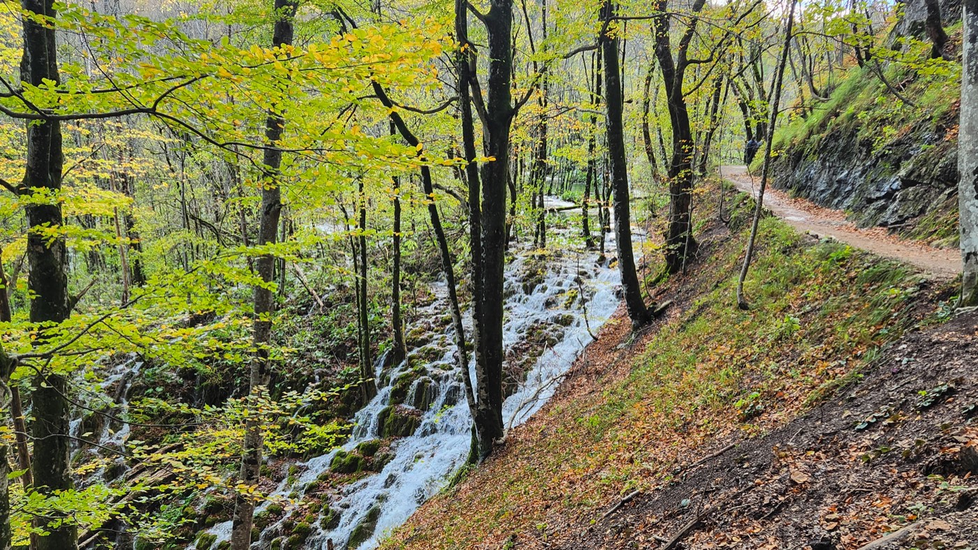Bosco autunnale, cascate e un sentiero nel Parco nazionale dei Laghi di Plitvice
